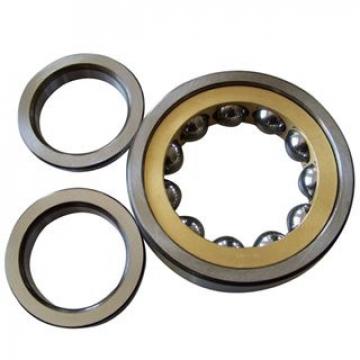145RIU610 7602-0220-61 Single Row Cylindrical Roller Bearing 368.3x495.3x63.5mm